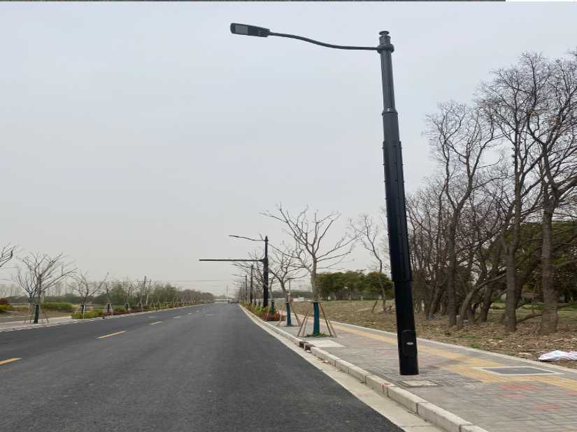 桦南县上海综合杆 太阳能路灯工程